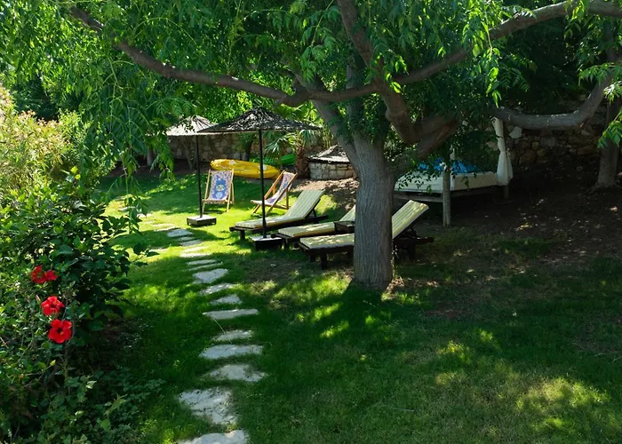 Loryma Luxury فندق